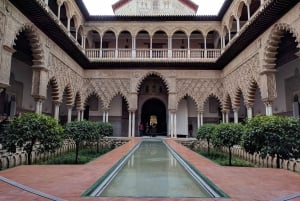 From Malaga: Seville Private Tour with Alcazar and Cathedral