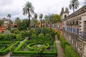 From Malaga: Seville Private Tour with Alcazar and Cathedral