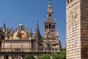 Da Malaga: tour privato di Siviglia con Alcazar e Cattedrale