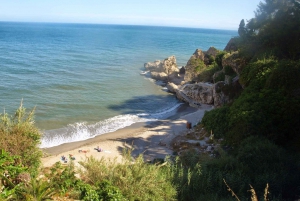 From Málaga: Skip-the-Line Nerja Cave and Frigiliana
