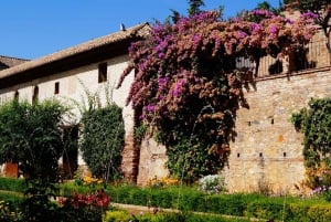 From Málaga: Sunset Alhambra Tour with Tickets