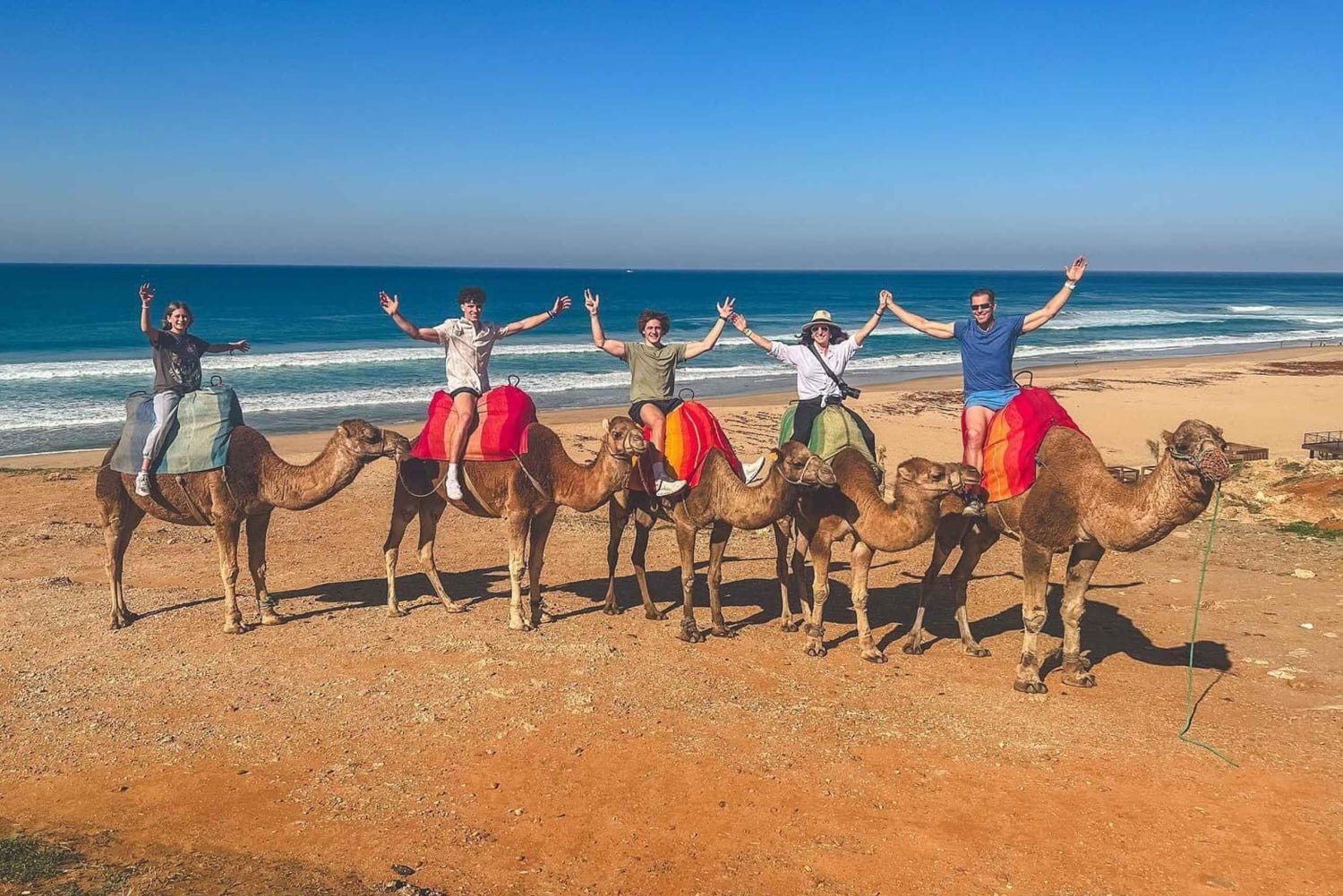 From Malaga: Tangier Day Trip with Ferry, Camel & Souks