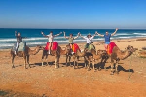 From Malaga: Tangier Day Trip with Ferry, Camel & Souks