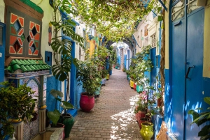 From Malaga: Tangier Private Day Trip with Ferry Tickets