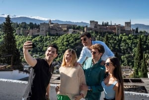 From Malaga: The Best of Granada with Optional Alhambra