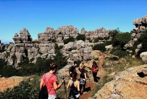 From Malaga: Torcal Antequera Natural Park & Dolmens Site
