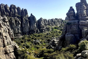 From Malaga: Torcal Antequera Natural Park & Dolmens Site