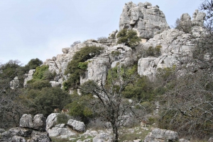 From Malaga: Torcal Antequera Natural Park & Dolmens Site