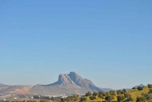 From Malaga: Torcal Antequera Natural Park & Dolmens Site