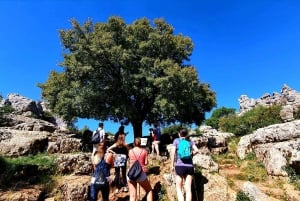 De Málaga: Caminhada VIP em Antequera Torcal e local de dolmens