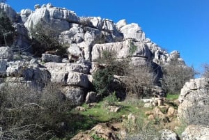 Vanuit Malaga: VIP Antequera Torcal Wandelen en Dolmens Site