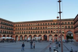 From Málaga: Cordoba and Lucena Day Trip
