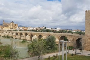 Desde Málaga: Traslado de ida y vuelta a Córdoba