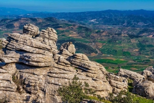 Depuis Marbella : Visite d'Antequera avec dégustations et déjeuner