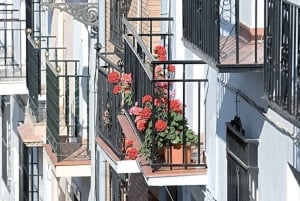 Depuis Marbella : Visite d'Antequera avec dégustations et déjeuner