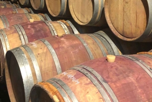 Depuis Marbella : Visite d'Antequera avec dégustations et déjeuner