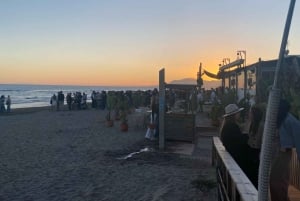 Ab Marbella/Estepona: Private Nachtleben Vip Tour Transport Getränke