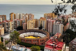 Vanuit Marbella: VIP-tour door kerstelijk Málaga in een Tesla X