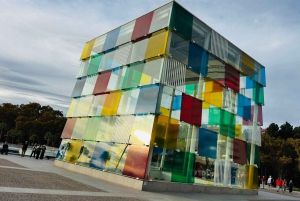 De Marbella: tour VIP pela cidade de Málaga em Tesla X com filmagem 360°