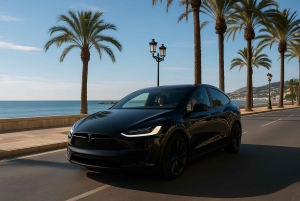 De Marbella: tour VIP pela cidade de Málaga em Tesla X com filmagem 360°