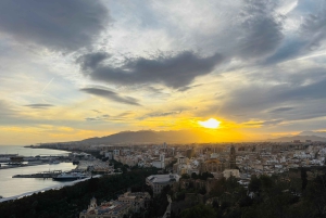 De Marbella: tour VIP pela cidade de Málaga em Tesla X com filmagem 360°