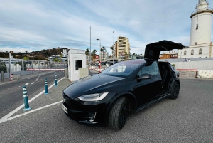 De Marbella: tour VIP pela cidade de Málaga em Tesla X com filmagem 360°