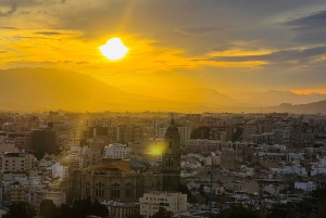 De Marbella: tour VIP pela cidade de Málaga em Tesla X com filmagem 360°