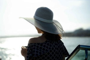 De Marbella: tour VIP pela cidade de Málaga em Tesla X com filmagem 360°