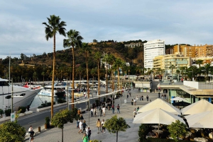 Fra Marbella: VIP byomvisning i Malaga med Tesla X 360° Cinematic