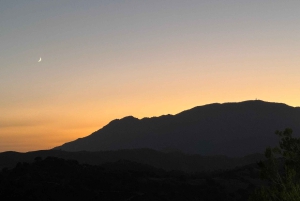 Fra Marbella: VIP byomvisning i Malaga med Tesla X 360° Cinematic