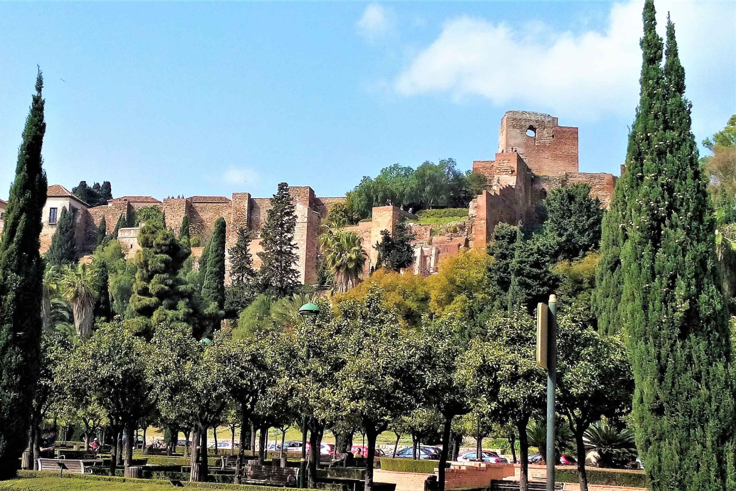 From Marbella: Malaga private Tour