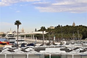 Desde Marbella: Tour privado de Málaga