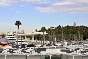 From Marbella: Malaga private Tour