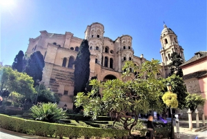 Von Marbella aus: Malaga private Tour