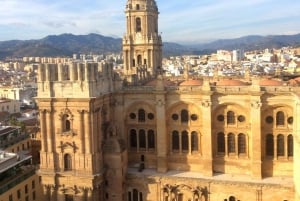 Depuis Marbella : Visite privée de Malaga