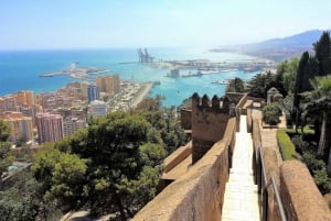 Depuis Marbella : Visite privée de Malaga