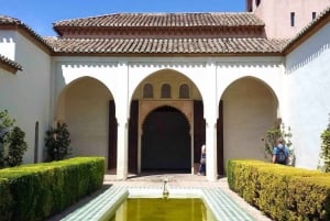 Da Marbella: Tour privato di Malaga