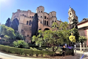 From Marbella: Malaga private Tour