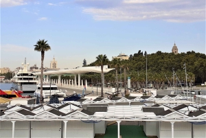 From Marbella: Malaga private Tour