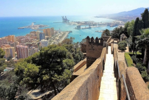 From Marbella: Malaga private Tour