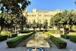 From Marbella: Malaga private Tour