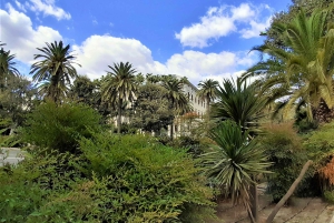 From Marbella: Malaga private Tour