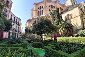From Marbella: Malaga private Tour