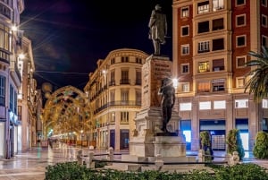 Do porto de Motril: tour privado e excursão terrestre em Málaga