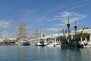 Vanuit de haven van Motril: privétour en excursie aan wal in Malaga