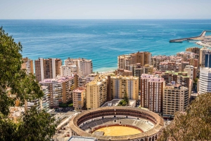 From Motril Port: Private Tour and Shore Excursion in Malaga