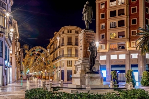 From Motril Port: Private Tour and Shore Excursion in Malaga