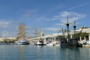 From Motril Port: Private Tour and Shore Excursion in Malaga