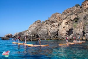 Fra Nerja: Guidet paddle surf ved klipperne og Maro-vandfaldet