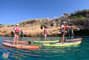 Fra Nerja: Guidet paddle surf ved klipperne og Maro-vandfaldet